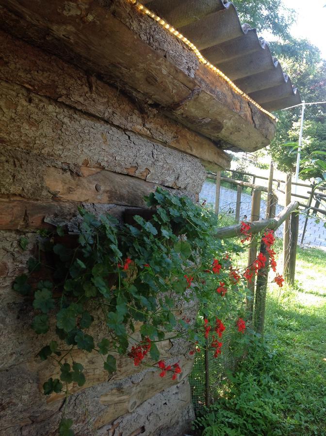 Agriturismo Barcola Grandola ed Uniti Exterior photo