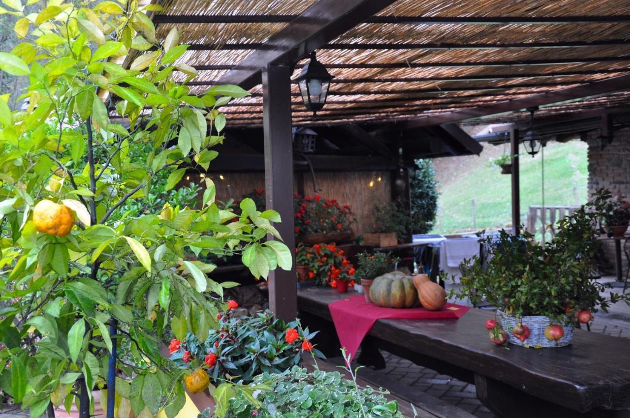 Agriturismo Barcola Grandola ed Uniti Exterior photo